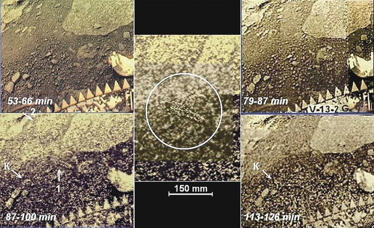Если на Венере есть жизнь, первым ее найдет российский посадочный аппарат