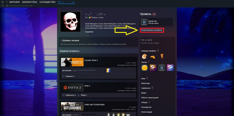 Как сделать красивый профиль Стим: советы по оформлению и настройке