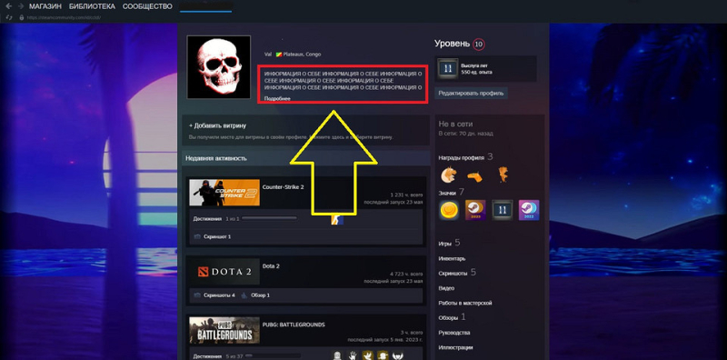 Как сделать красивый профиль Стим: советы по оформлению и настройке
