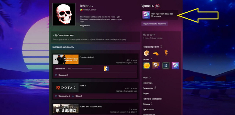 Как сделать красивый профиль Стим: советы по оформлению и настройке