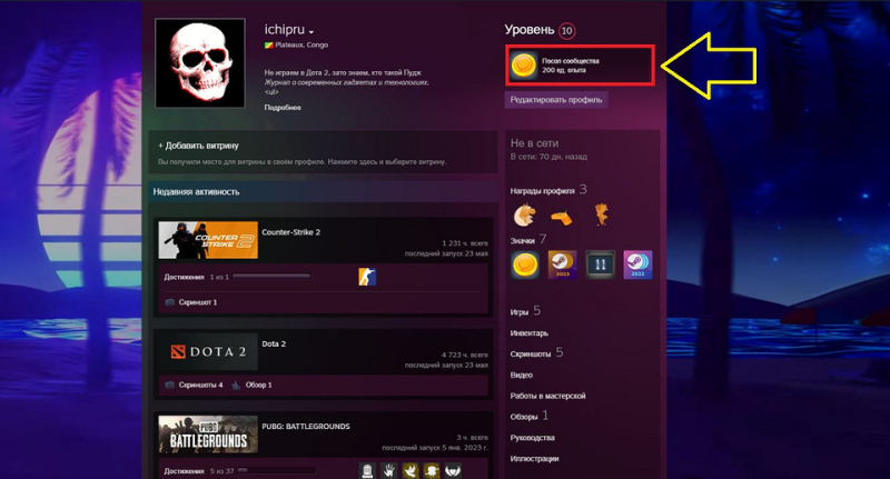 Как сделать красивый профиль Стим: советы по оформлению и настройке