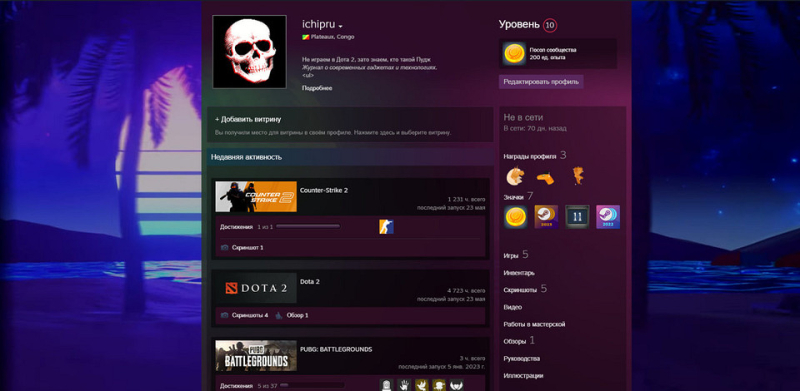 Как сделать красивый профиль Стим: советы по оформлению и настройке
