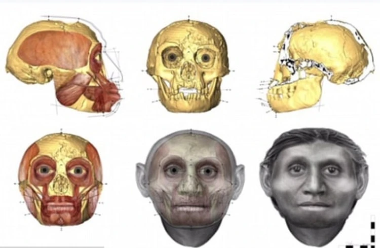 Были разумными, не умели бегать: ученые раскрыли новые тайны людей-хоббитов, живших 700 тысяч лет назад