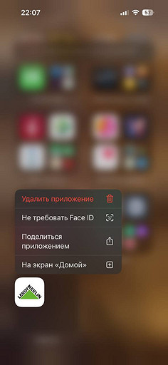 Как спрятать приложение на iPhone и защитить его Face ID с iOS 18